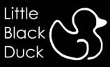 Little Black Duck